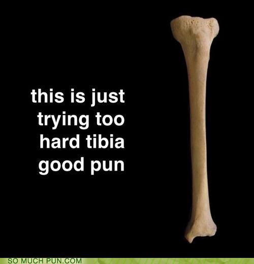 Humerus Facts - skeletal system